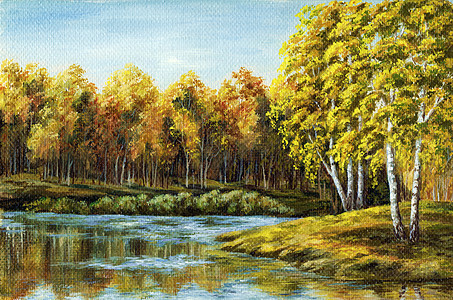 秋季湖树叶艺术桦木空地天气树干手工分支机构荒野国家图片