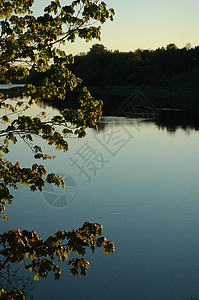 沃尔科夫河的景象树木全景天空蓝色森林镜子叶子木头旅游反射图片