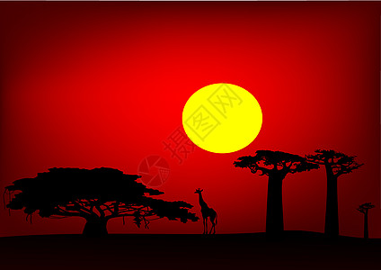 余辉非洲日落矢量图层晚霞天堂天空太阳光太阳极光植物玫瑰色夕阳设计图片