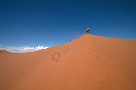 索苏武夫莱沙丘阳光荒野橙子沙漠旅行纳米布生态风景干旱太阳图片