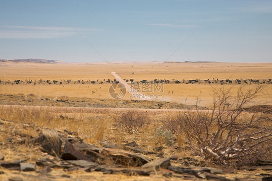 Namib 沙漠旅行全景岩石土地纳米布地平线风景日落晴天荒野图片