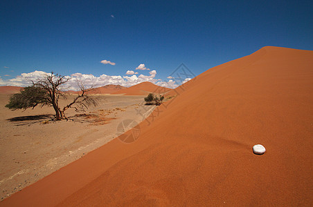 索苏武夫莱沙丘荒野沙漠橙子蓝色纳米布风景场地旅行生态天空图片