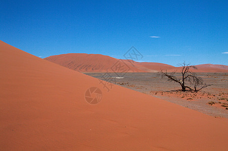 索苏武夫莱沙丘风景蓝色纳米布干旱场地荒野橙子沙漠阳光太阳图片