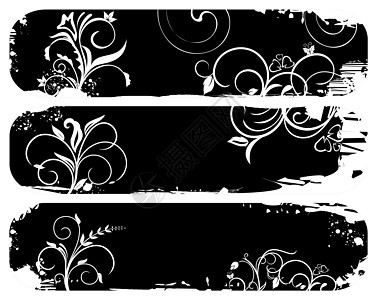 设置抽象的泥板条标语漩涡框架水平蝴蝶叶子横幅白色黑色植物绘画图片