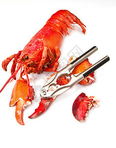 红龙虾奢华烹饪海鲜特色贝类动物用餐美味美食龙虾图片