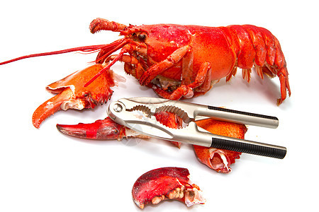 红龙虾用餐龙虾贝类海鲜美食奢华烹饪特色市场料理图片
