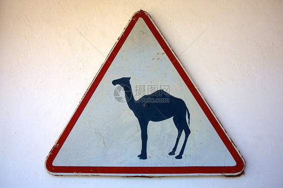 骆驼交叉标志全景白色路标三角形警告沙漠图片