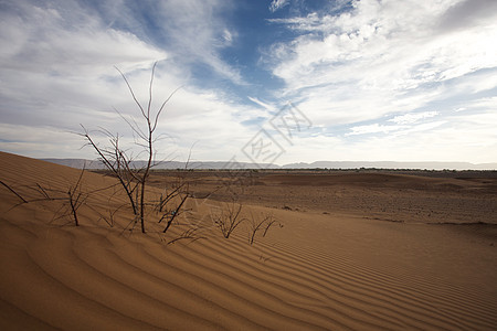 压强杜库地貌地形天空风景沙漠曲线波纹印刷海浪祖卡沙丘图片