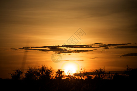 奥卡万戈三角洲日落太阳圆圈野生动物旅行天空公园阴影街道荒野多云图片