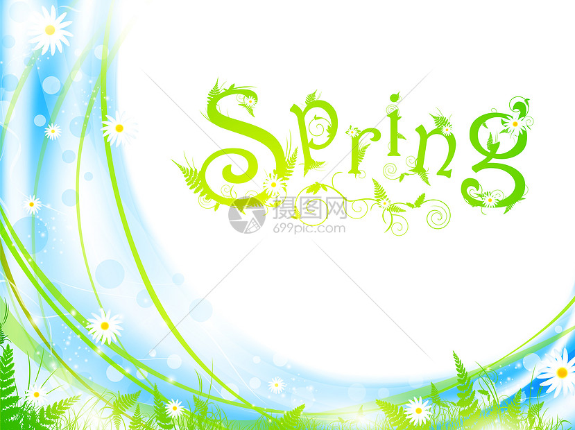 春季框架雏菊漩涡草地甘菊植物生态装饰品生长叶子园艺图片