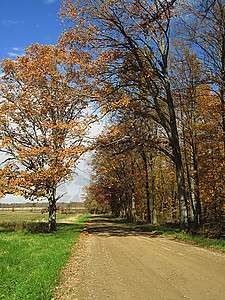 秋季路树叶小路城市草地踪迹国家公园橙子农场车道图片