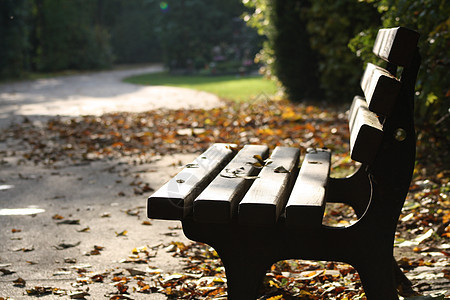 座位木头花园公园街道场景植物椅子建筑学家具孤独图片