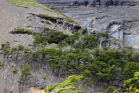 托雷斯德尔疼痛晴天顶峰远足石头风景荒野天空蓝色国家岩石图片