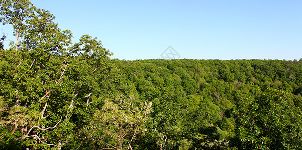 蒙特萨诺州公园     阿拉巴马天空爬坡场景风景生物学树木森林公园娱乐图片