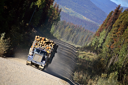 美丽的不列颠哥伦比亚省的伐木卡车图片