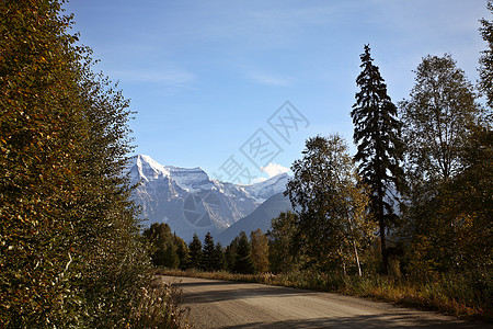 美丽的不列颠哥伦比亚省罗布森山风景水平松树旅行图片