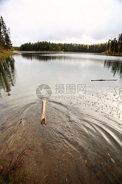 萨斯喀彻温北部杰德湖的小型原木图片