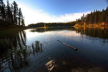 上午清晨在萨斯喀彻温北部杰德湖图片