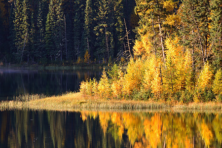 萨斯喀彻温北部杰德湖水反射美术风景湖泊反思旅行树木水平植物图片