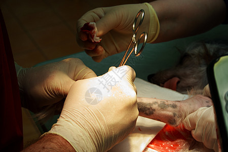 手术室矫形外科医生体检保健桌子工具医疗保险医疗仪器工人紧迫感房间图片