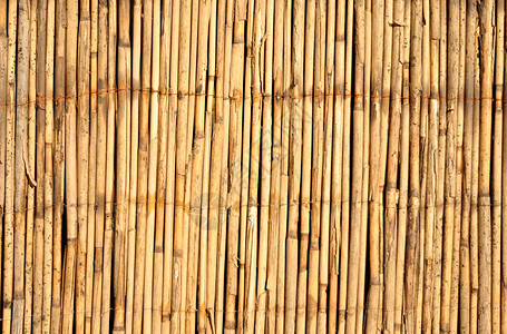 竹竹背景材料宏观线条条纹芦苇栅栏竹子热带枝条装饰图片