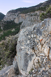 内华达州娱乐场景生态环境山脉土地荒野风景生物学国家图片