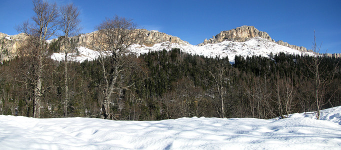主要高加索山脊植被冰川青菜全景植物群风景旅行斜坡文件山丘图片