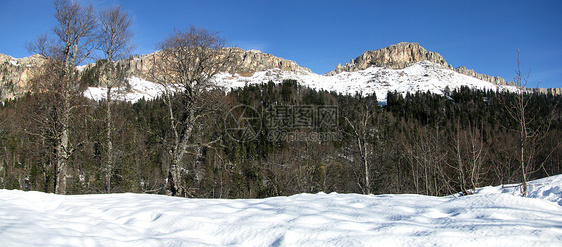 主要高加索山脊植被冰川青菜全景植物群风景旅行斜坡文件山丘图片