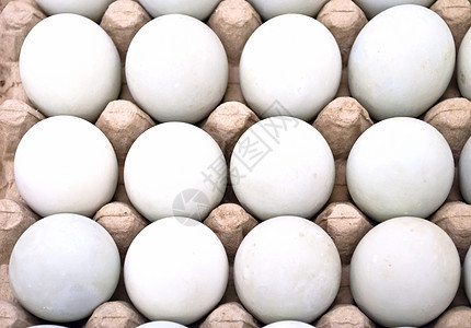 几十个鸡蛋纸盒包装蛋壳团体早餐健康白色盒子农场纸板图片