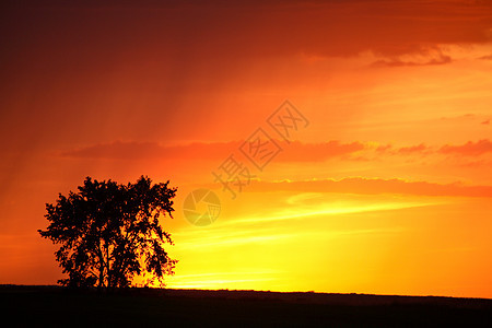 萨斯喀彻温风景炎雨的日落剪影大草原草原乡村水平美术场景旅行风景图片