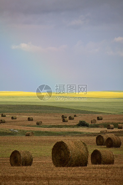 萨斯喀彻温风景的干草篮后面的彩虹图片