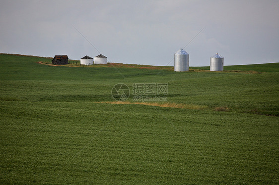 在景色萨斯喀彻温省种植的谷物作物水平金属乡村季节性风景旅行粮仓家园植物群农舍图片