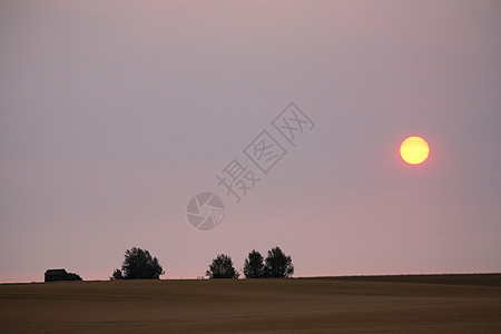 清晨阳光在夏日萨斯喀彻温的薄云中照耀图片