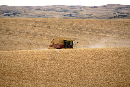 农民在萨斯喀彻温采风区收割作物国家水平农业风景场景茬地农村农业机械大草原合并图片