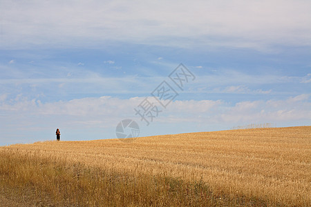 年轻女孩在萨斯喀彻温一个破碎的田间走回来图片