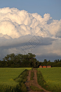 雷头云在萨斯喀彻温风景形成大草原场景风暴农业积雨旅行农村乡村图片