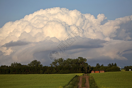 雷头云在萨斯喀彻温风景形成旅行雷头场景农业农村水平乡村积雨大草原风暴图片