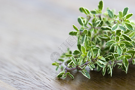 新鲜的胸罩食物烹饪收藏花园绿色植物枝条白色草本叶子图片