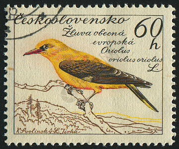 邮票邮戳动物野生动物鸟类地址羽毛信封公园卡片尾巴图片