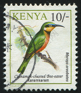 邮票鸟类卡片邮戳邮件集邮动物野生动物公园信封地址图片