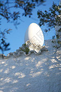 瓷砖屋顶上的白蛋图片