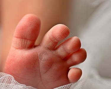 婴儿的脚被McMaster工作室拍下水平孩子们工作室图片