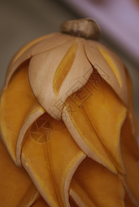 水果构成的几何形状团体浆果橙子插图叶子收藏小吃美食香蕉食物图片