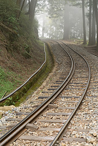 铁路国家绿色踪迹风景森林金属白色薄雾运输建筑学图片