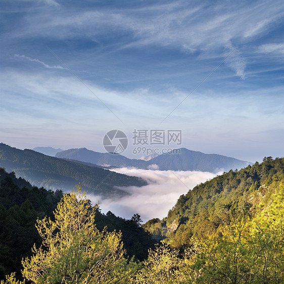 山地风景环境森林天空荒野农村国家树木戏剧性场景蓝色图片