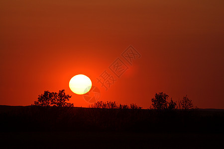 萨斯喀彻温省在虚张声势后晒太阳图片