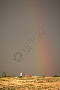 萨斯喀彻温省红谷仓后面的彩虹越来越紧图片