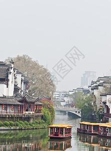 Konfuzius 坡脚植物宗教判断力旅游蕨类图片