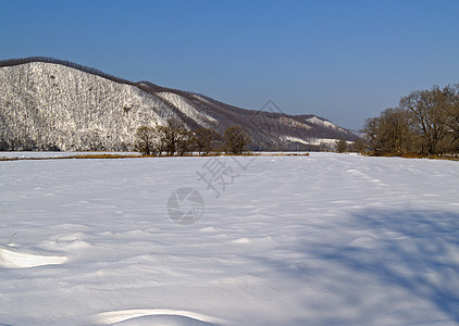 冬季风景木头天空白色蓝色阴影山坡草地场地雪堆图片