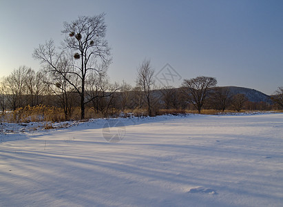 冬季风景蓝色阴影雪堆场地木头草地山坡白色天空图片
